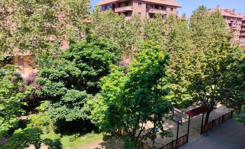 apartment from day apartment for rent for companies in Madrid Alcalá de Henares